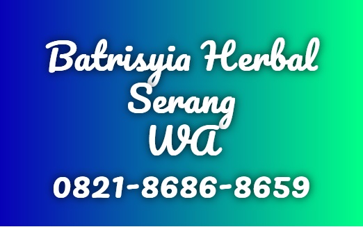 Alamat toko Batrisyia Herbal Kota dan Kabupaten Serang